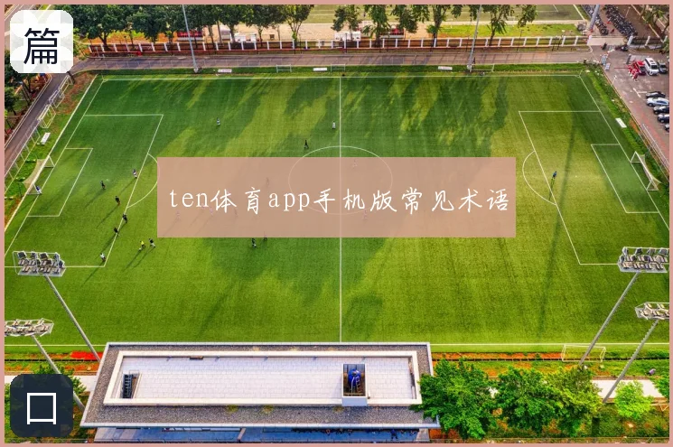 ten体育app手机版常见术语